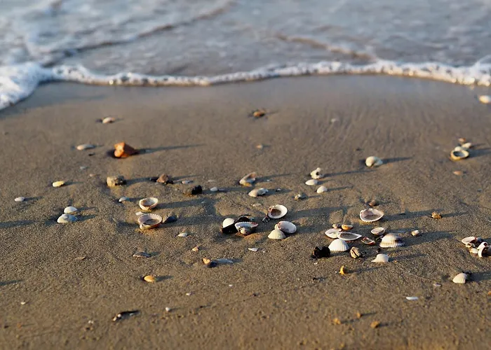 Sun, Sea And Poolside Bliss-beahost